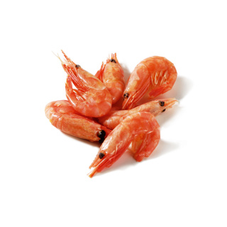 Frozen Cooked Nordic Shrimp Uncoated 1kg | per kg