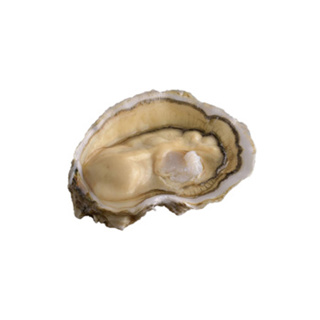 Oyster Royale n°1 David Herve | per pcs
