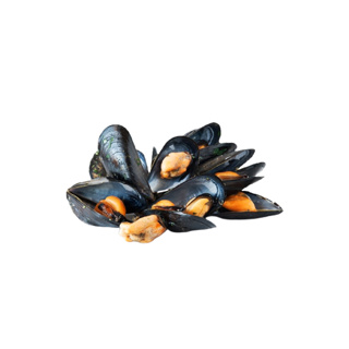 Mussel IGP Bouchot Cleaned Chilled GDP Tray 600gr | per tray