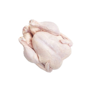 Organic Chicken Eviscerated Dandieu GDP aprox. 1.5kg | per kg