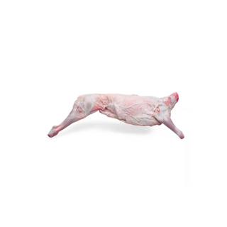 Lamb Milk Fed Carcass w/o Glazing Axuria 8kg | per kg