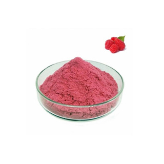Colouring Powder Hydro Red Raspberry Nactis Flavours 100gr | per kg
