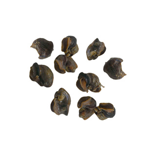 Frozen Snails Poached Nomade des Jardins 500gr | Bag w/100pcs