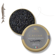 Caviar Oscietra Acipenser Gueldenstaedtii Italy Reserve Loste Tin 30gr