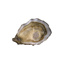 Oyster Speciale n°1 David Herve | per pcs
