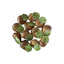 Frozen Snails Stuffed w/Garlic & Parsley Nomade des Jardins | 3.75kg Box w/360pcs